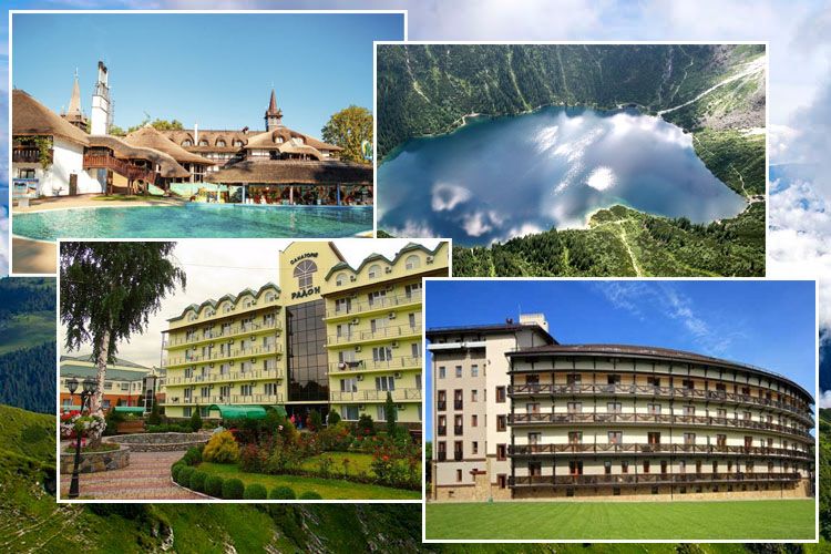 Отдых в Карпатах