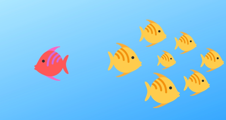 Трендовые ниши для создания интернет-магазина в 2019 году