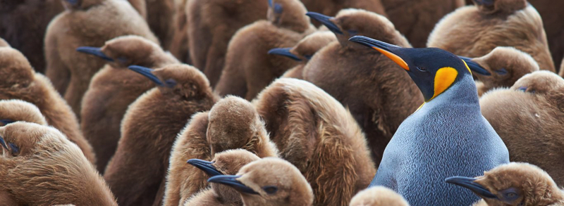 «Понравится всем» и другие распространенные ошибки в маркетинге