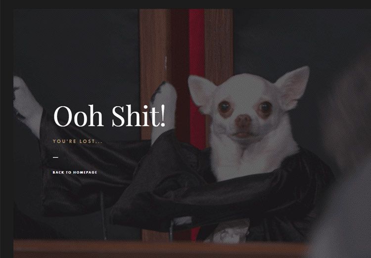 Страница 404: что это такое и как правильно ее оформить
