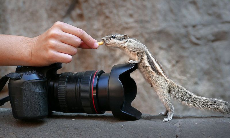 Особенности СЕО-продвижения