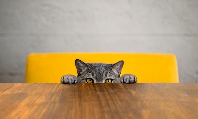 12 типичных ошибок предпринимателей, которые дорого стоят бизнесу